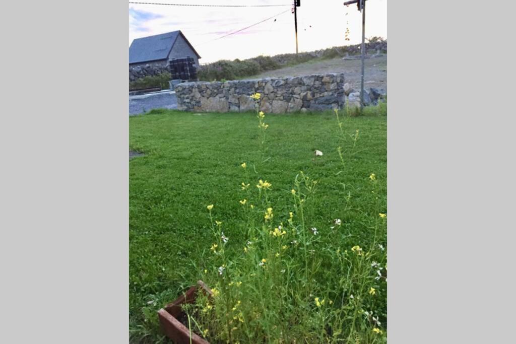 Tigh Noor - Escape To Kinvara By The Sea! Galway Dış mekan fotoğraf